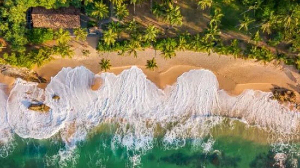 Best Time to Visit Sri Lanka: Weather, Monsoons & Month-by-Month Guide (2026)