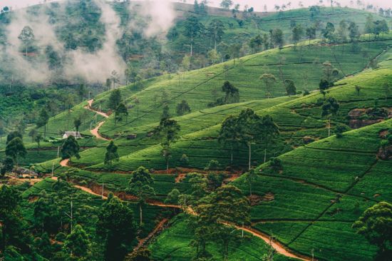 The Grand Hotel Nuwara Eliya