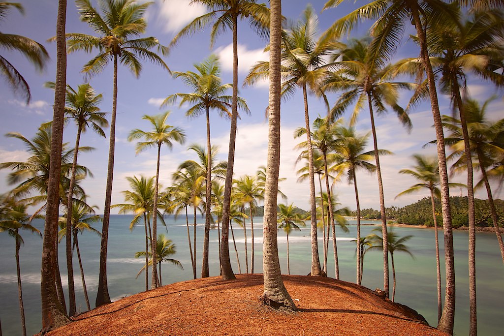 Mirissa Beach