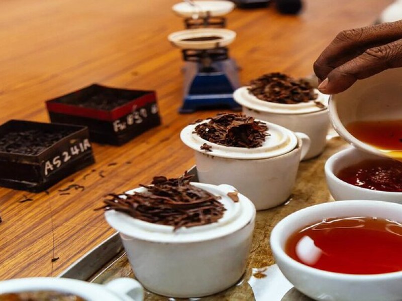 Tea Tasting in Nuwara Eliya